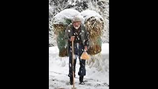 მამა შვილების     ლევან კაშმაძე  2019 ეძღვება მამებს