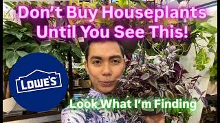 Don’t Buy Houseplants Until You See This! 🛑 Lowe’s Plant Shopping 2026 New Plants Outdoor and Indoor