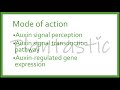 plant tissue culture cytokinin and auxin