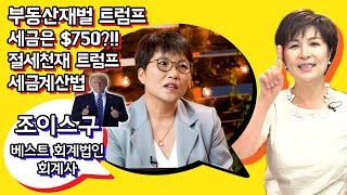 부동산 재벌 트럼프 세금은 $750?!! 절세천재 트럼프 세금계산법!!!