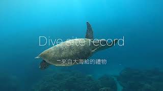 墾丁必去超美潛點｜FREEISLAND自由島嶼帶大家一起FUN DIVE