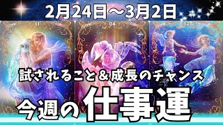 【お仕事タロット】辛口リーディング🙏週間リーディング✨2月24日〜3月2日のあなたのお仕事どんな感じかな？気をつける事やアドバイスなどを占いました🔮オラクルカードリーディング/ルノルマンカード