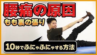 【１０秒】腰痛の原因は“もも裏”！？ふにゃふにゃにする方法とは？｜ゴッドハンド通信｜関野正顕