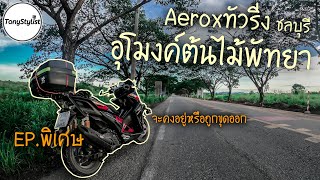 [EP.พิเศษ] Aeroxทัวริ่ง ชลบุรี อุโมงค์ต้นไม้พัทยา จะคงอยู่หรือถูกขุดออก หลังขยายถนน | TonyStylist