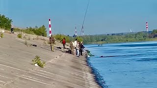 ППЦ, ЭТО ЗАКОННО? Рыбалка на ГОЛЫЙ КРЮЧОК. Волга и половодье