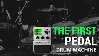 Singular Sound| A Drummer at your Feet --  Control the beat (Using the BeatBuddy Drum Machine Pedal)