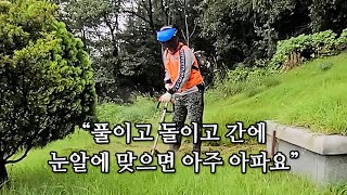 한태웅이 보여주는 벌초작업