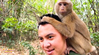 The place where Monkey Kaka feels safe is on her father's head