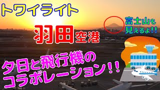 夕暮れの羽田空港。飛行機をたくさん眺めよう!!