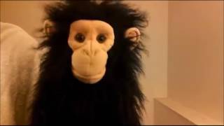 Monkeynomics 101 Welfare Spending