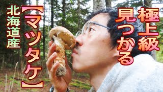 北海道マツタケ紀行２　１０月初旬のキノコこれだけ覚えておこうpart８【里山山菜記】