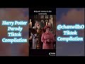 Harry Potter Parody Tiktok Compilation | @chanwills0 | Part 2 | Not Clean |