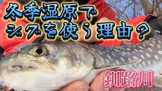 リバージギングのススメ👍【KUSIRO River】釧路川細岡