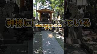 【見逃し厳禁🈲神様のサイン】#心願成就#開運祈願 #遠隔参拝