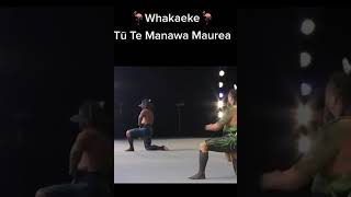 Tū Te Manawa Maurea - Ko Au, Ko Te Repo! 🔥(Ultralight Beam )Te Matatini 2023 on repeat 🔥