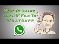 How To Send GIF Animation files On WhatsApp (Official Update)