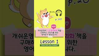 하루30분 기초영어회화 Lesson1 (8) 문장 패턴 활용 연습 / 영어읽기공부