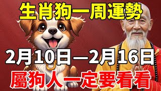 生肖狗一周運勢：2月10日—2月16日，屬狗人一定要看看！【慧安說禪】#生肖 #財運 #運勢 #屬相 #風水 #命理