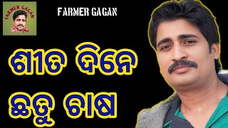 ଶୀତ ଦିନେ ପାଳ ଛତୁ ଚାଷ ଓଡ଼ିଶା. Farmer Gagan