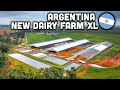 THIS ARGENTINE FARMER PURCHASES 18 LELY ROBOTS 🇦🇷