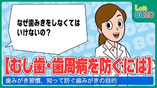 【8020】むし歯・歯周病を防ぐには