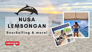 Snorkelling in Nusa Lembongan (Spotted dolphins!) | 7 Must Do's in Nusa Lembongan | Bali Vlog