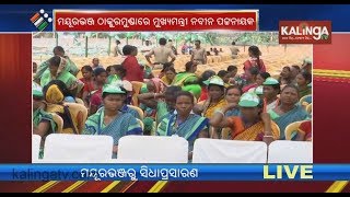 Atmosphere at Mayurbhanj ahead of CM Naveen's election campaign visit | Kalinga TV