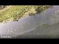 boating in ichamati river ইছামতি নদী