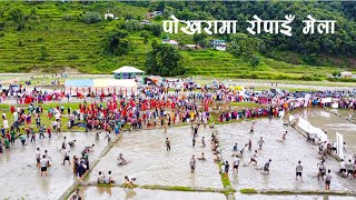 Planting Festival Pokhara || रोपाइँ महोत्सव