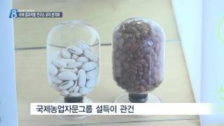 [안동MBC뉴스]R]국제 콩과작물 연구소 유치 본격화