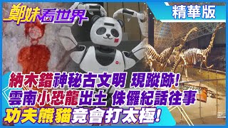 【鄭妹看世界】雲南重返侏儸紀!3歲小恐龍化石出土了!「納木錯湖岸岩畫」竟藏著西藏秘密!?熊貓機器人閃耀「華夏之光」能打太極“比愛心“!@全球大視野Global_Vision 精華版