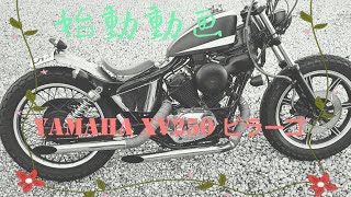 ヤマハ　ビラーゴ250　ラット仕様　 チョッパー　ボバー　yamaha　カスタム　xv250 スポーツスタータンク　スポタン