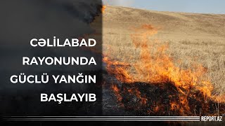 Cəlilabad rayonunda güclü yanğın başlayıb