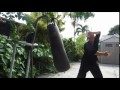 baguazhang the internal and external qiqong