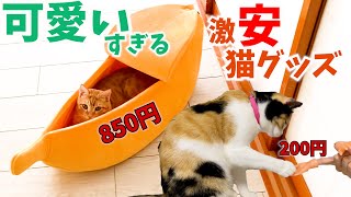 【SHEIN】海外通販で購入した猫グッズが可愛すぎた