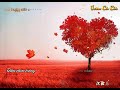 vietsub kara lyric 撒浪嘿 saranghae vương tử ngọc 王梓钰