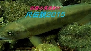 尺アマゴ伝説２０１５　【四国の渓流釣り 動画遡行記】