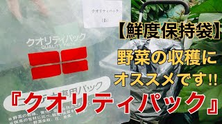 【鮮度保持袋】野菜の収穫にもってこいの収穫袋「クオリティパック」を紹介します 2020/4/23