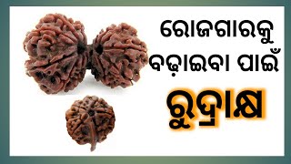 #ରୁଦ୍ରାକ୍ଷ_ବଦଳାଇ_ଦେଇପାରେ_ଭାଗ୍ଯକୁ #ରୁଦ୍ରାକ୍ଷ_ଦେଇପାରେ_କର୍ମ_ନିଯୁକ୍ତି #ରୁଦ୍ରକ୍ଷ_ବଢାଇପାରେ_ରୋଜଗାର