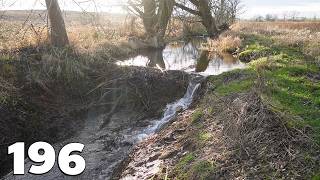 Two Beaver Dams - Beaver Dams Removal With Excavator No.196