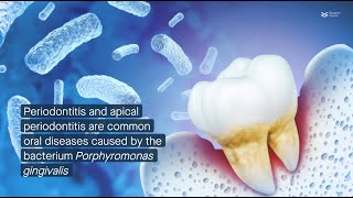 CXXC5 promotes cementogenesis, protects against periodontitis by supporting mitochondria formation