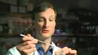 Evolution Primer #5 Did Humans Evolve