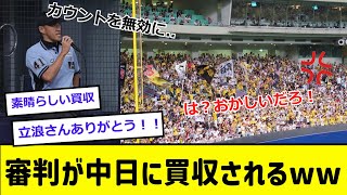 【中日】審判を立浪さんが買収して、阪神ファンガチギレwww