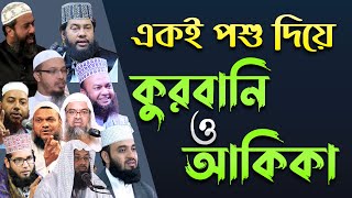 কুরবানির সাথে আকিকা দেওয়া হারাম নাকি জায়েজ ? চুড়ান্ত সমাধান