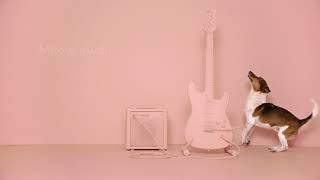 Video ad Adoptify: Milow