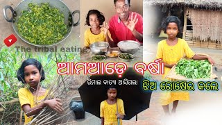 ରେମାଲ ବାତ୍ୟା ଆସିଗଲା/ଆମଆଡ଼େ ବହୁତ ପବନ ବର୍ଷା/ଝିଅ ରୋଷେଇ କଲେ ବର୍ଷା ରେ/@Thetribaleating93