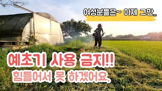 (일상.240) 예초기로 제초작업 하기