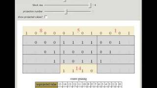 Visualizing the Coarse Graining of a Cellular Automaton