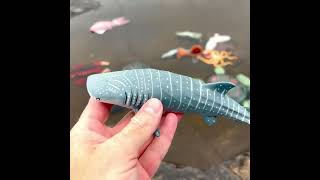 Whale Shark Toy Splash in Water 🦈💦