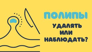 Полипы - удалять или наблюдать @DrOlenaB